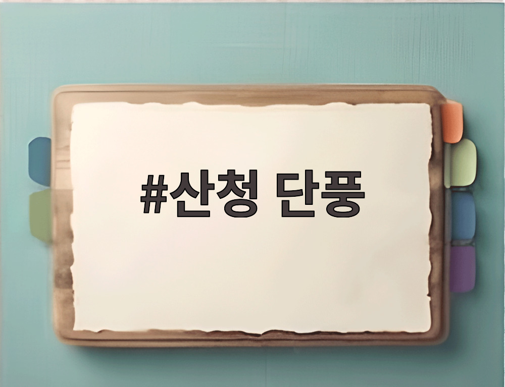 산청 단풍