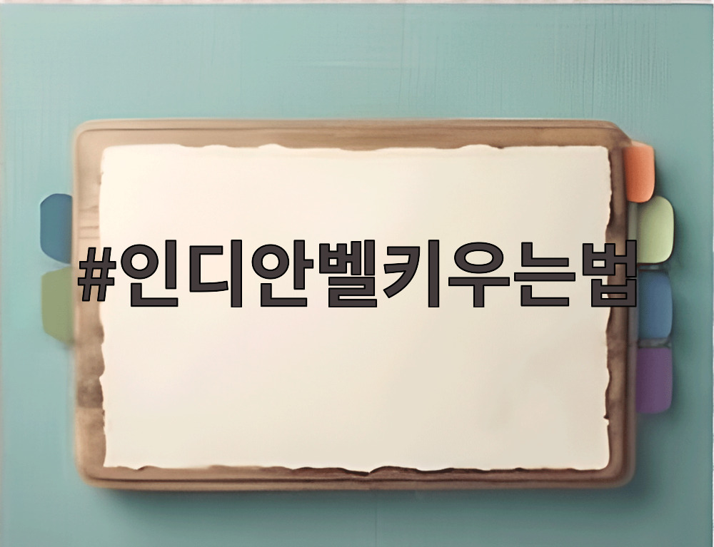 인디안벨키우는법