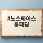 노스페이스 롱패딩