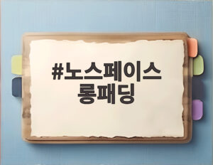 노스페이스 롱패딩