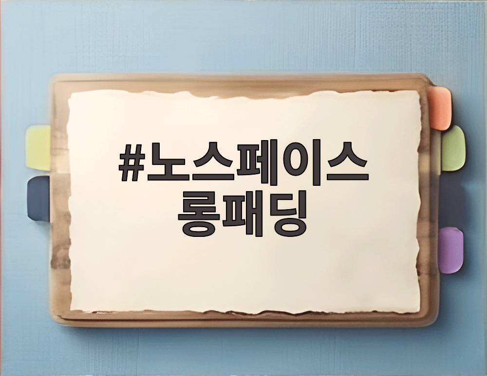 노스페이스 롱패딩