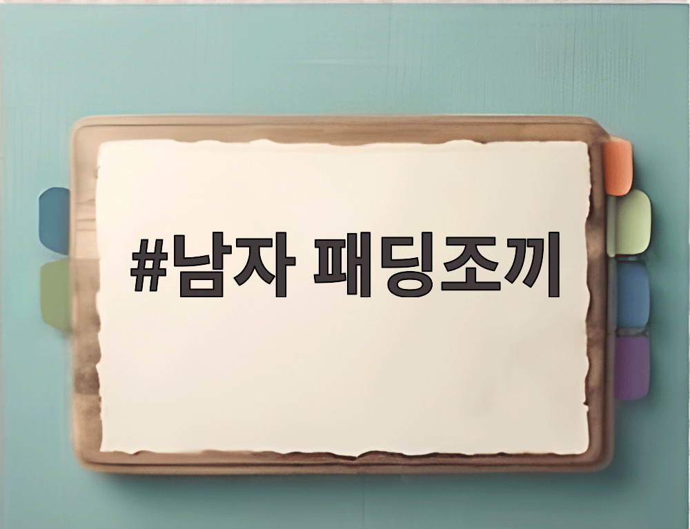 남자 패딩조끼
