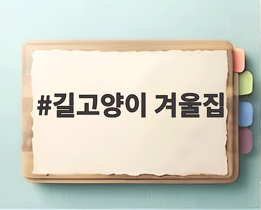 길고양이 겨울집