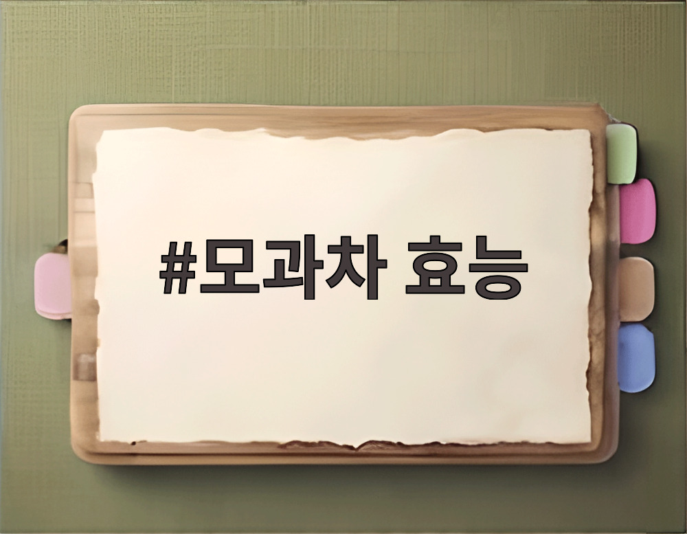 모과차 효능