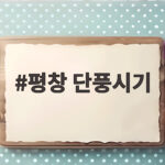 평창 단풍시기 절정 예상일과 놓치면 안 되는 명소들 평창 단풍시기