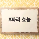 꽈리 효능 건강하게 챙기는 먹는법과 부작용을 확인해 보세요 꽈리 효능